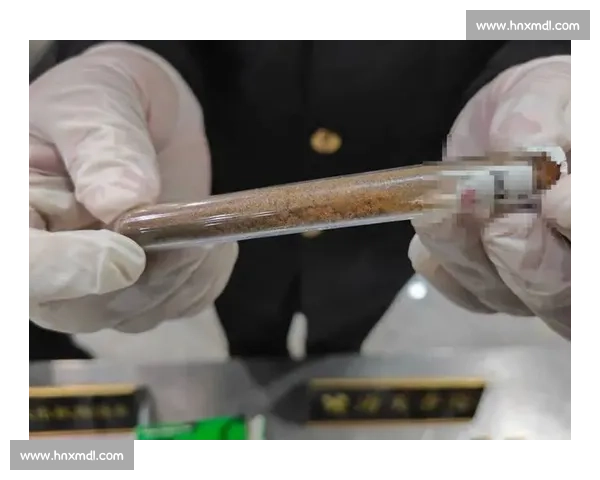 大麻致幻引发文化乌龙：印度游客误将加拿大弗雷泽河认作恒河