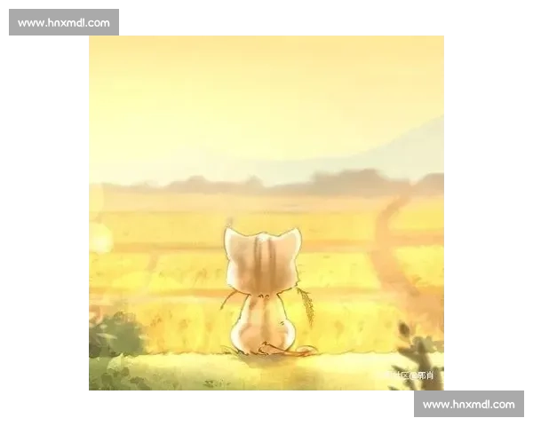 利雅得青年人追罗梅乌 自由身中场引多队竞逐